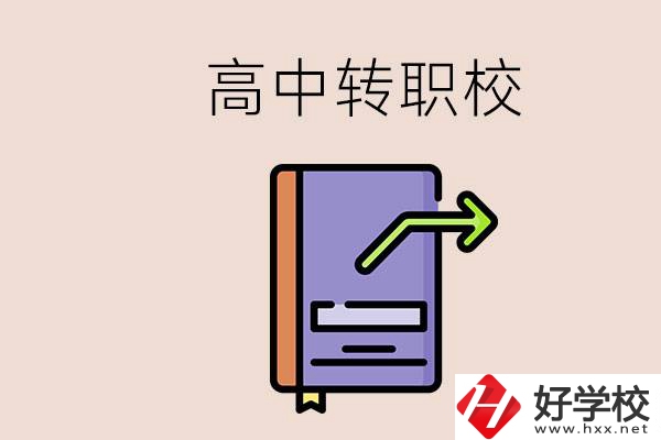 有在讀高中不想讀轉(zhuǎn)職校的例子嗎？能轉(zhuǎn)到湖南職校嗎？