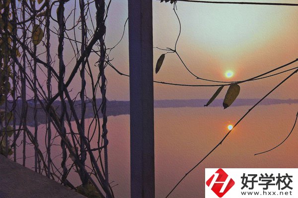 張家界的中職學校學什么專業(yè)好？哪些專業(yè)前景佳？