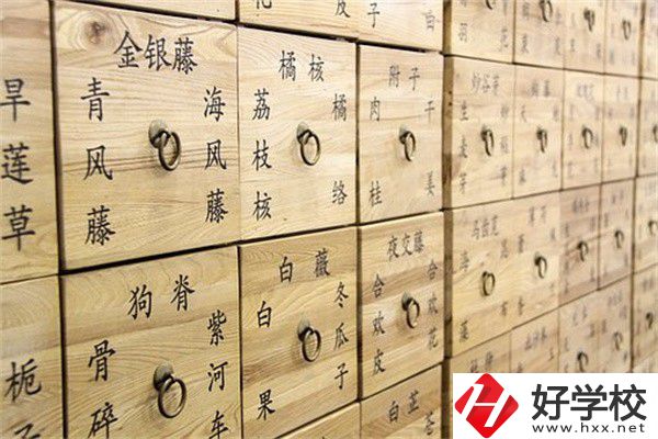 湖南省哪些中職有中藥專(zhuān)業(yè)？