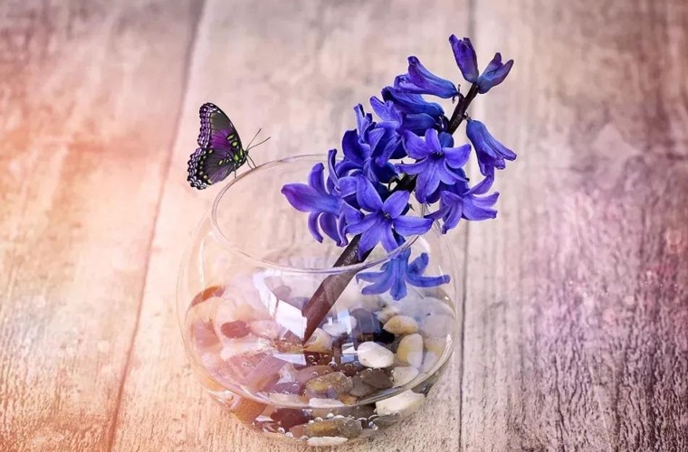 銅仁幼兒師范高等?？茖W校