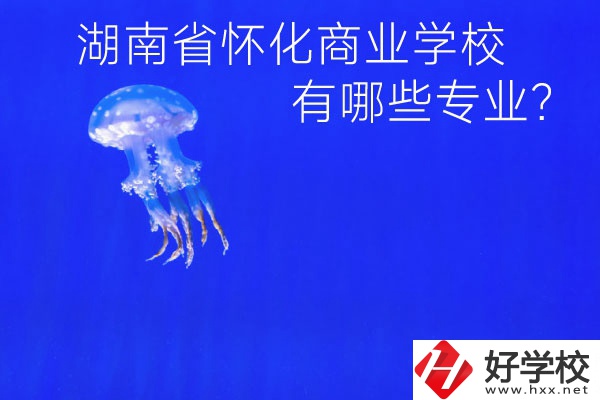 湖南省懷化商業(yè)學(xué)校好不好？有哪些專業(yè)？