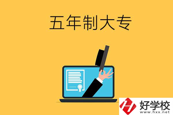 湖南有哪些比較好的五年制大專學(xué)校？看看這4所！