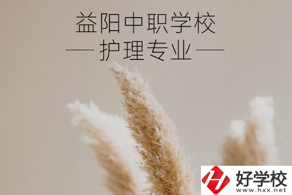 益陽(yáng)護(hù)理專(zhuān)業(yè)的中職學(xué)校有哪些？需要哪些要求？