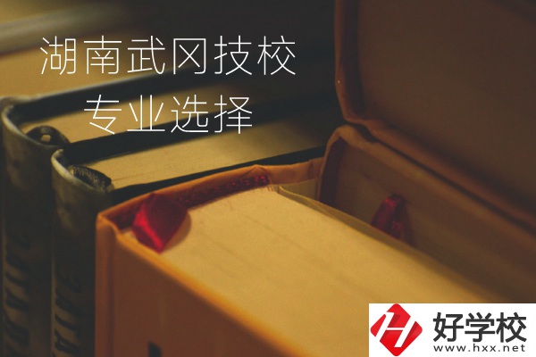 湖南武岡技校怎么樣？有哪些專業(yè)可以選擇？