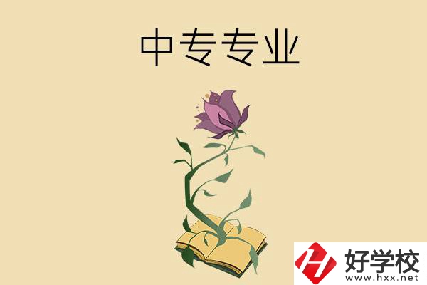 在張家界讀中專，學(xué)什么專業(yè)比較好？
