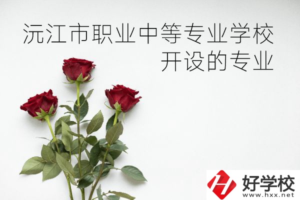 沅江市職業(yè)中等專業(yè)學(xué)校怎么樣？開設(shè)哪些專業(yè)？