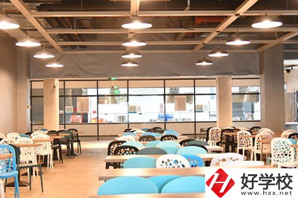 長沙湘麓醫(yī)藥中等職業(yè)技術(shù)學(xué)校收費標準如何？