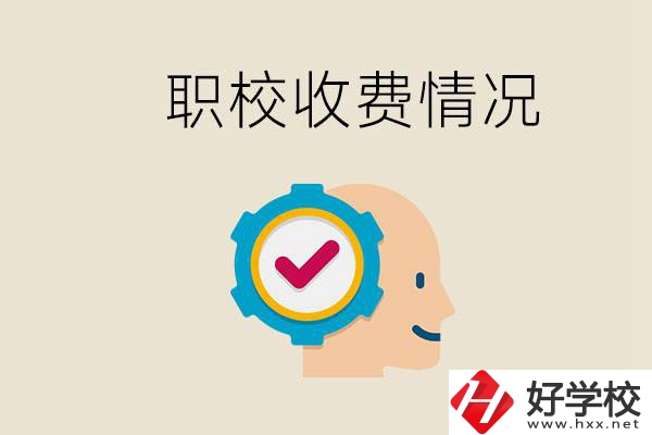 湖南的職校是怎么收費的？民辦學(xué)校一年學(xué)費要多少？