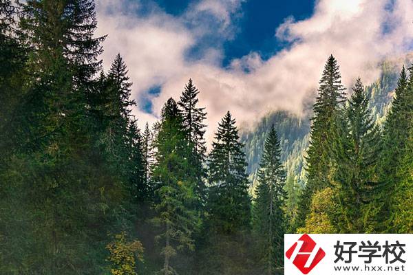 永州東方科技職業(yè)學(xué)校有哪些辦學(xué)特色？