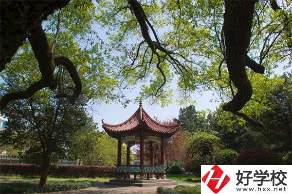 長沙市望城區(qū)職業(yè)中等專業(yè)學(xué)校的官網(wǎng)是什么？