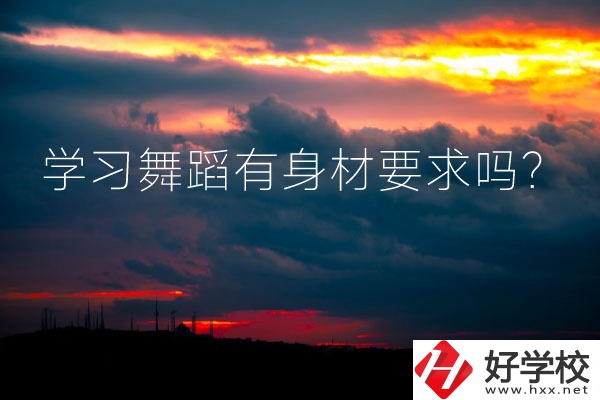 懷化有可以學(xué)習(xí)舞蹈的中專學(xué)校嗎？有身材要求嗎？
