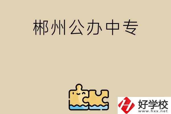 郴州公辦中專有哪些開設(shè)了電子商務(wù)專業(yè)？