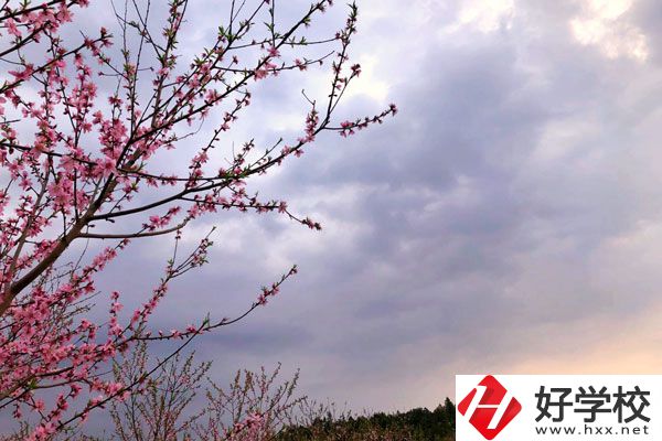 邵陽市瀟湘中等職業(yè)技術(shù)學(xué)校怎么樣？收費(fèi)標(biāo)準(zhǔn)如何？