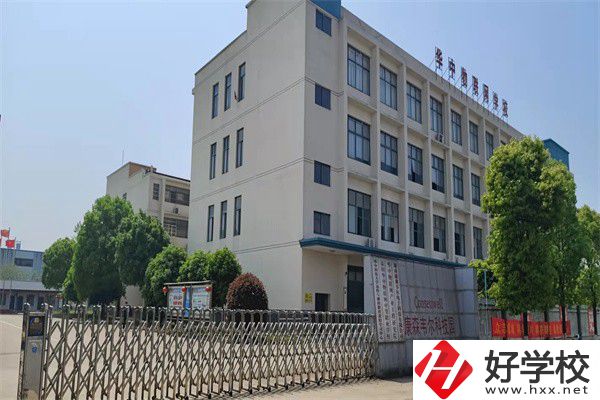益陽有哪些計算機(jī)職校？專業(yè)就業(yè)前景怎么樣？
