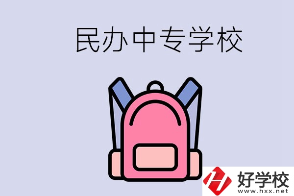 益陽(yáng)的民辦中專學(xué)校有多少所？辦學(xué)怎么樣？