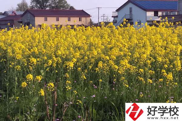 湖南省有哪些比較好的技校？熱門專業(yè)有哪些？