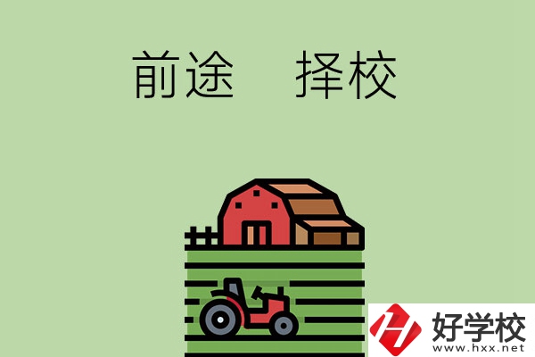 在長沙讀中職學(xué)校有前途嗎，如何擇校？