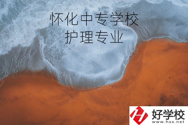 懷化有學(xué)護(hù)理專業(yè)的中專學(xué)校嗎？