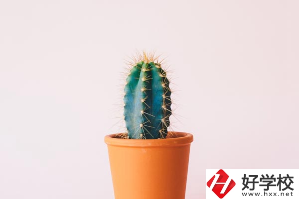 長沙有哪些中職學(xué)?？梢詫W(xué)習(xí)幼師專業(yè)？