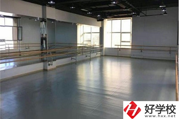 想在衡陽學(xué)藝術(shù)類專業(yè)，看看這所學(xué)校！