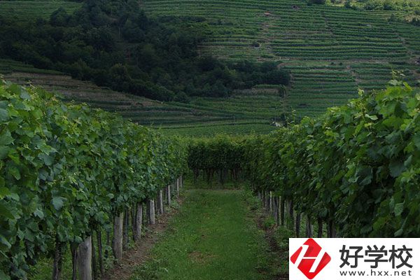 中鋼集團衡陽重機技工學校好不好？值得讀嗎？
