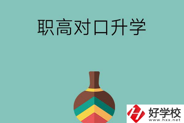 湖南職高對口升學可以考哪些大專？