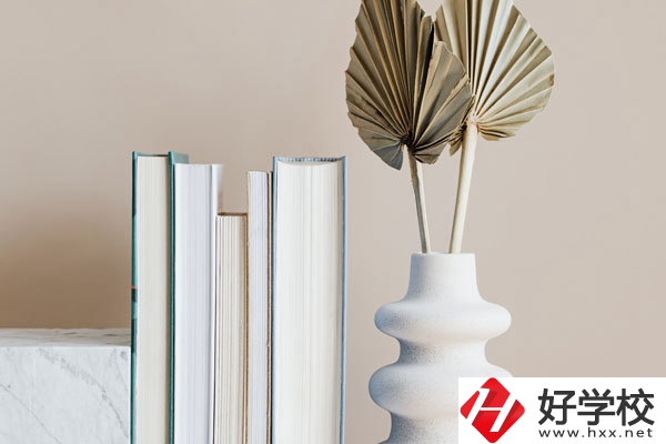 懷化職業(yè)技術(shù)學(xué)院(中職部)好不好，值得選擇嗎？