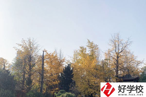 湘潭縣就業(yè)職業(yè)技術(shù)學(xué)校有哪些專業(yè)？就業(yè)前景怎么樣？