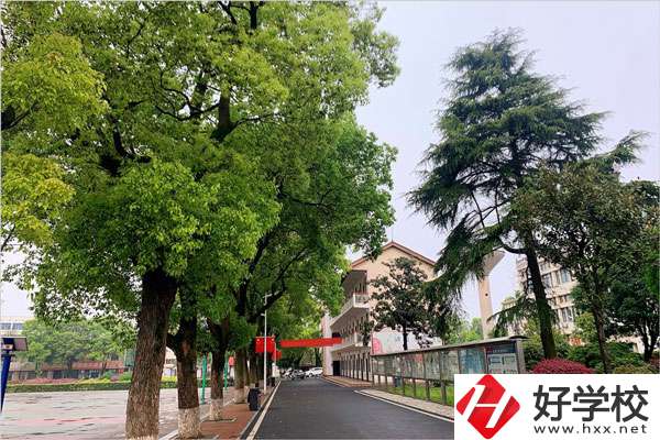 想在益陽學(xué)機械制造專業(yè)，哪個學(xué)校比較好？