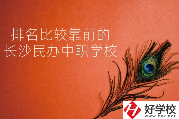 長沙哪些民辦中職學(xué)校排名比較靠前？