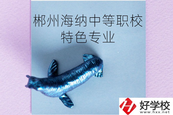 郴州海納中等職業(yè)技術(shù)學(xué)校有些什么特色專(zhuān)業(yè)？