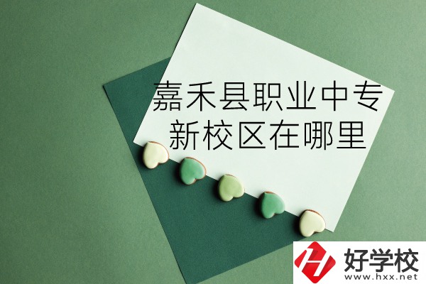 嘉禾縣職業(yè)中專怎么樣？新校區(qū)在哪里？