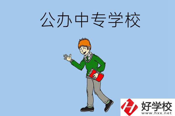 郴州公辦的中專一共有多少所？