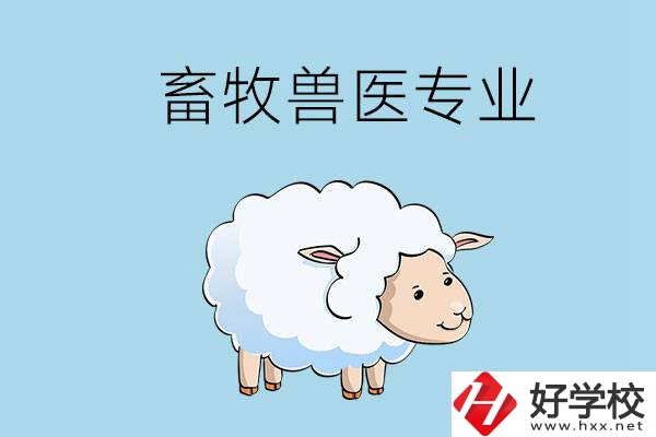 畜牧獸醫(yī)專業(yè)好就業(yè)嗎？湖南哪些技校開設(shè)了該專業(yè)？