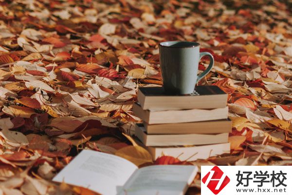 中方縣職業(yè)中等專業(yè)學校有什么專業(yè)？好不好？