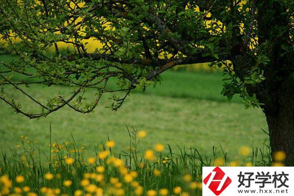 在邵陽讀中職有前途嗎？如何選擇學(xué)校呢？