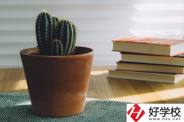 桃江縣職業(yè)中專學(xué)校辦學(xué)條件怎么樣？有哪些特色？