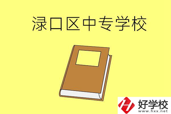 株洲縣淥口區(qū)有什么中專學(xué)校？