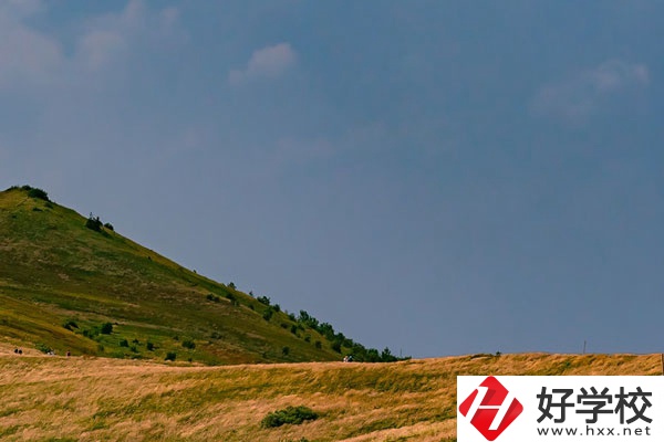 想在常德學(xué)動(dòng)漫設(shè)計(jì)專(zhuān)業(yè)，有合適的學(xué)校嗎？