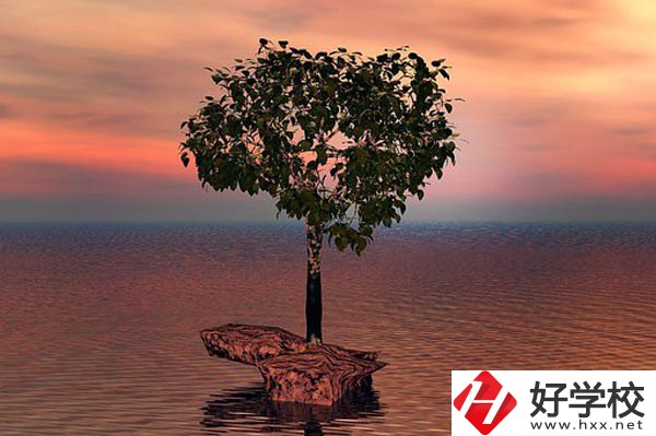 湖南省中南藝術(shù)學(xué)校收費標(biāo)準(zhǔn)怎么樣？