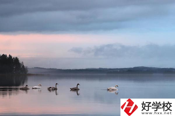 湖南有色金屬中專學(xué)校有哪些專業(yè)？就業(yè)方向如何？
