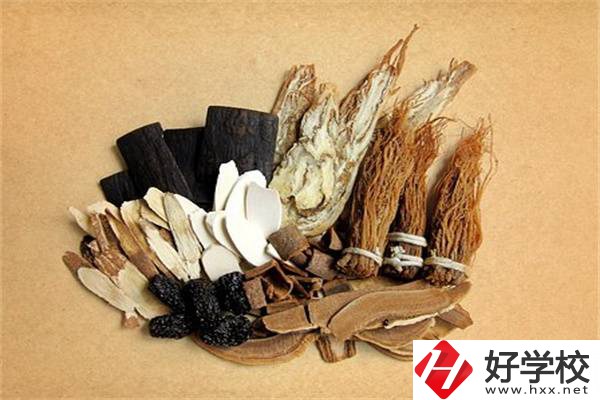 在湘西學(xué)中草藥栽培怎么樣？開設(shè)此專業(yè)的學(xué)校有哪些？