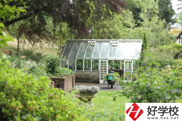 湖南省商業(yè)技師學(xué)院開設(shè)哪些專業(yè)？就業(yè)情況如何？