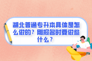 湖北普通專升本具體是怎么做的？剛報(bào)名時(shí)要做些什么？