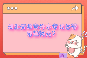 湖北普通專(zhuān)升本考試必帶哪些物品?