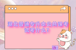 湖北普通專(zhuān)升本公共課考試考什么？