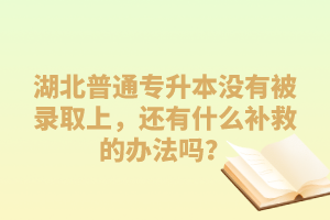 湖北普通專升本沒有被錄取上，還有什么補救的辦法嗎？