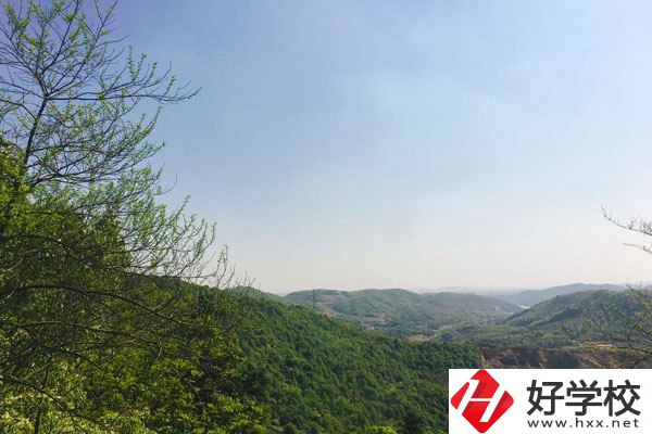 株洲人工智能職業(yè)技術(shù)學(xué)校哪個專業(yè)更好？