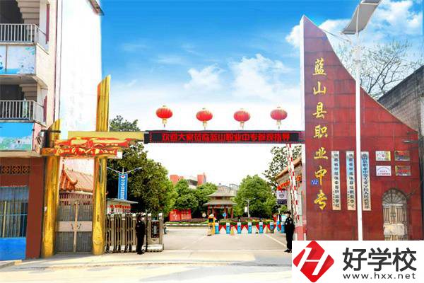 藍(lán)山縣職業(yè)中等專業(yè)學(xué)校是公辦學(xué)校嗎？有什么專業(yè)？