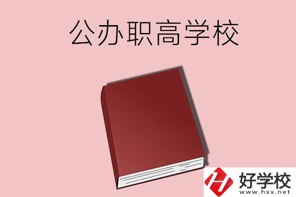 湖南有什么公辦的職高學(xué)校？